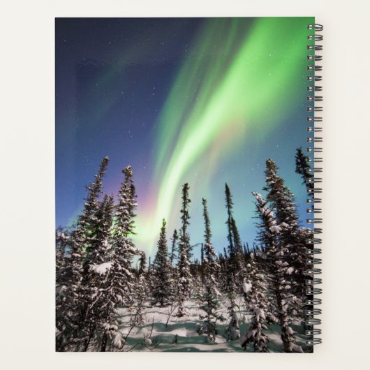 Noordelijke lichten | Nationaal park Denali Planner (Achterkant)