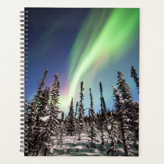 Noordelijke lichten | Nationaal park Denali Planner (Voorkant)