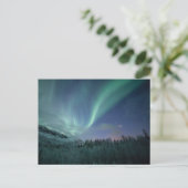 Noordelijke Lichten Noorwegen Briefkaart (Staand voorkant)