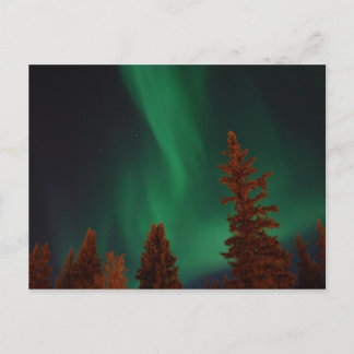 Noordelijke lichten over Ft. Wainwright, AK Briefkaart