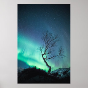 Noordelijke lichten poster
