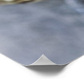 Noordelijke luipaardkikker, See-through Island, Poster (Hoek)