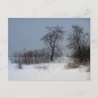 Noordelijke Maine 17 Briefkaart