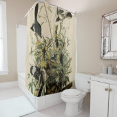 Noordelijke Mocking Bird, Audubon's Birds of Ameri Douchegordijn (In situ)