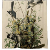Noordelijke Mocking Bird, Audubon's Birds of Ameri Douchegordijn (Voorkant)
