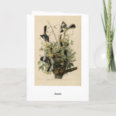 Noordelijke Mocking Bird, Audubon's Birds of Ameri Kaart (Achterkant)