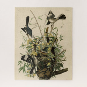 Noordelijke Mocking Bird, Audubon's Birds of Ameri Legpuzzel