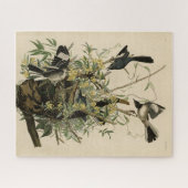 Noordelijke Mocking Bird, Audubon's Birds of Ameri Legpuzzel (Horizontaal)