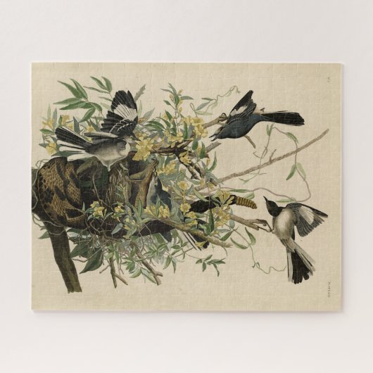 Noordelijke Mocking Bird, Audubon's Birds of Ameri Legpuzzel (Horizontaal)