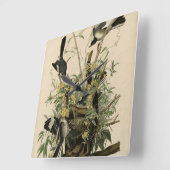 Noordelijke Mocking Bird, Audubon's Birds of Ameri Vierkante Klok (Hoek)