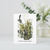 Noordelijke Mocking Bird, John Audubon Briefkaart (Staand voorkant)