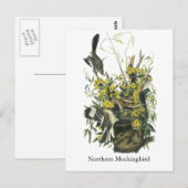 Noordelijke Mocking Bird, John Audubon Briefkaart (Voorkant / Achterkant)