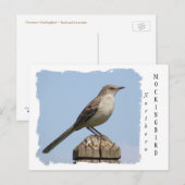 Noordelijke Mockingvogel Briefkaart (Voorkant / Achterkant)