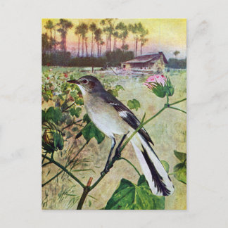 Noordelijke Mockingvogel Briefkaart
