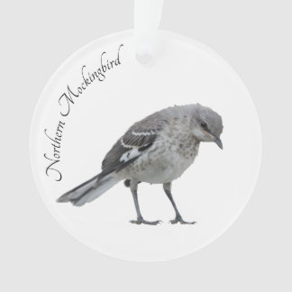 Noordelijke Mockingvogel Ornament