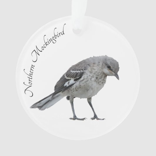 Noordelijke Mockingvogel Ornament (voorkant)