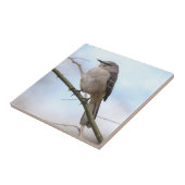 Noordelijke Mockingvogel Tegeltje (Zijkant)