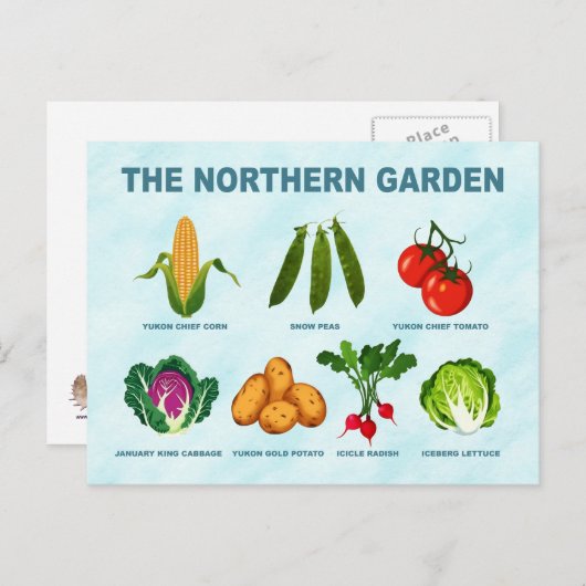noordelijke moestuin briefkaart (Voorkant / Achterkant)