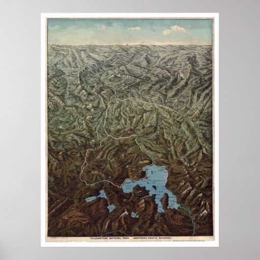 Noordelijke Pacifische geelsteen 1895 Poster (Voorkant)