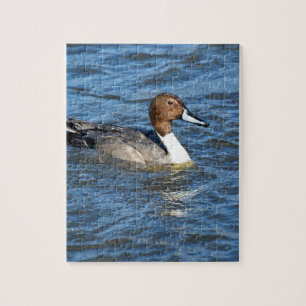 Noordelijke Pijlstaart Legpuzzel