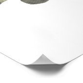 Noordelijke Pike Poster (Hoek)