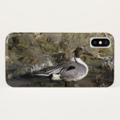 Noordelijke Pintail Duck Lovers Case-Mate iPhone Case (Achterkant (horizontaal))