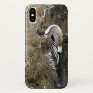 Noordelijke Pintail Duck Lovers iPhone X Hoesje