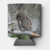Noordelijke Pygmy Owl Blikjeskoeler (Voorkant)