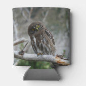Noordelijke Pygmy Owl Blikjeskoeler (Achterkant)