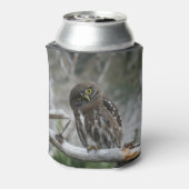 Noordelijke Pygmy Owl Blikjeskoeler (Blikje Achterkant)