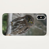 Noordelijke Pygmy Owl Case-Mate iPhone Case (Achterkant (horizontaal))