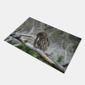 Noordelijke Pygmy Owl Deurmat (Schuin)
