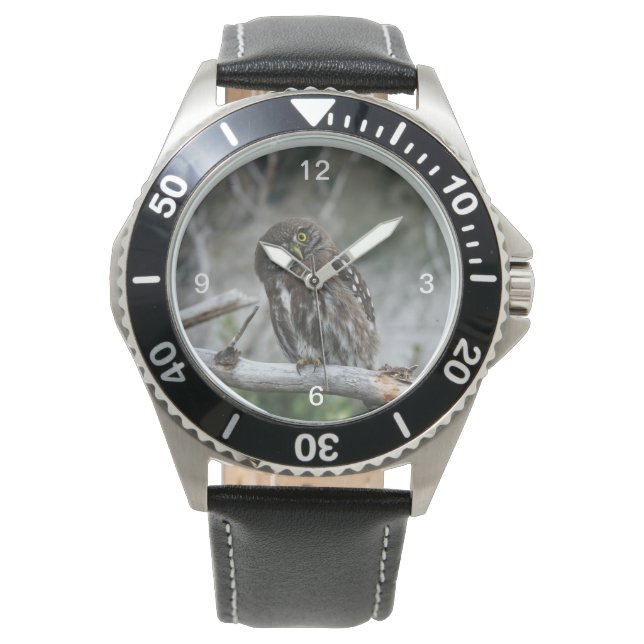 Noordelijke Pygmy Owl Horloge (Voorkant)
