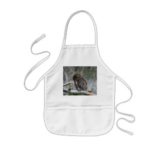 Noordelijke Pygmy Owl Kinder Schort