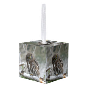 Noordelijke Pygmy Owl Kubus Ornament