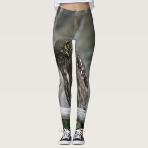 Noordelijke Pygmy Owl Leggings