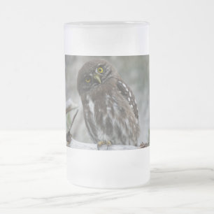 Noordelijke Pygmy Owl Matglas Bierpul