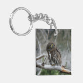 Noordelijke Pygmy Owl Sleutelhanger (Voorkant Links)