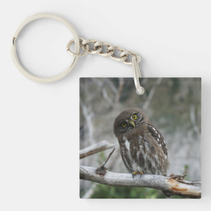 Noordelijke Pygmy Owl Sleutelhanger