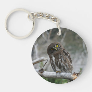 Noordelijke Pygmy Owl Sleutelhanger