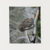 Noordelijke Pygmy Owl Wandkleed (Voorkant)