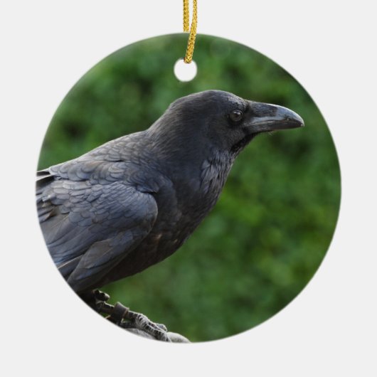 Noordelijke Raven Keramisch Ornament (Voorkant)