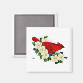 Noordelijke Rode Kardinaal Magneet (Voorkant / Achterkant)