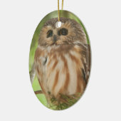 Noordelijke Saw-whet Owl Keramisch Ornament (Links)