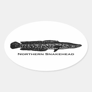 Noordelijke snakehead ovale sticker