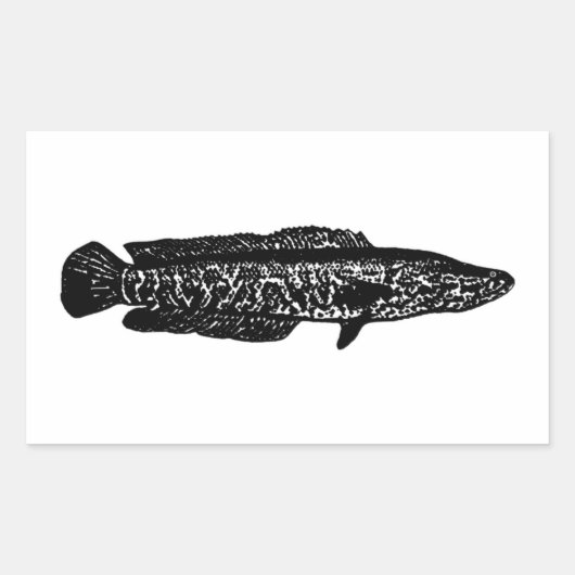 Noordelijke snakehead rechthoekige sticker (Voorkant)