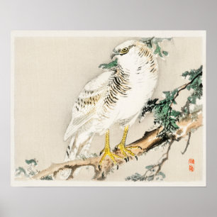 Noordelijke spotvogel door Kono Bairei (1844-1895) Poster