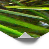 Noordelijke waterslang op basis van meerdere stamh poster (Hoek)