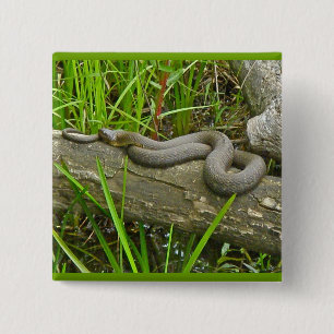 Noordelijke waterslang op basis van meerdere stamh vierkante button 5,1 cm