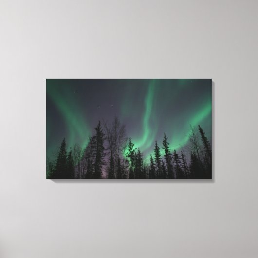 Noorderlicht door het Bomen Canvas Afdruk (Voorkant)